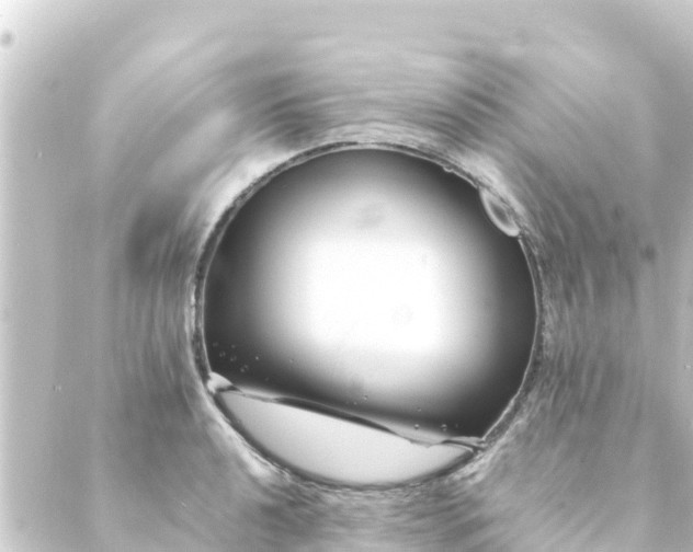 X0000088911040200706221924