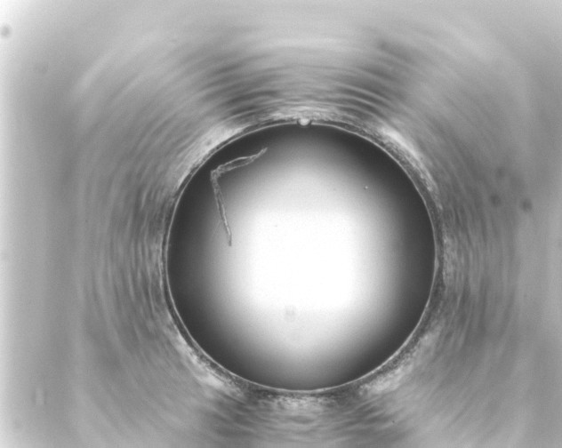 X0000088911041200706221924