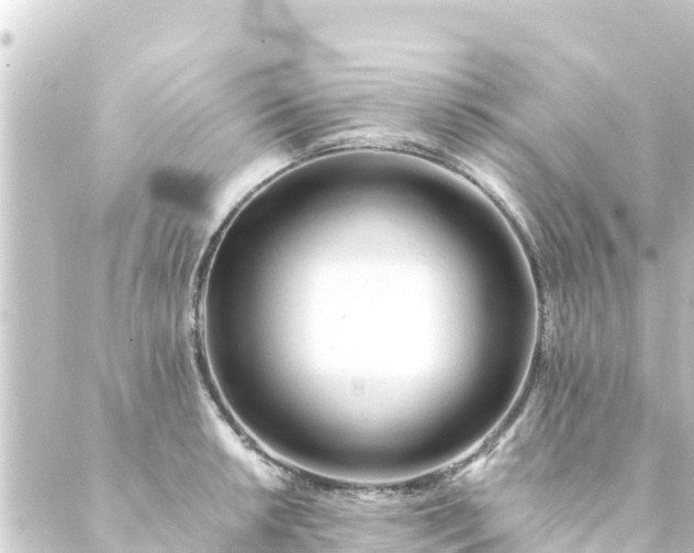 X0000088911042200706221924