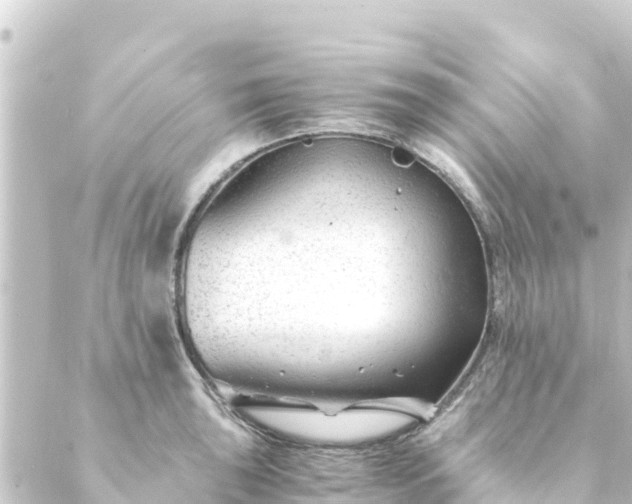 X0000088911043200706221924