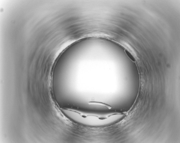 X0000088911044200706221924