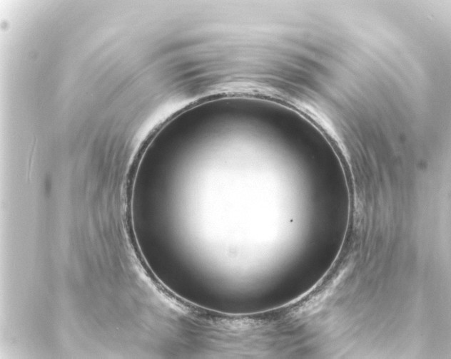 X0000088911045200706221924