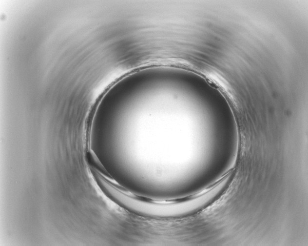 X0000088911046200706221924