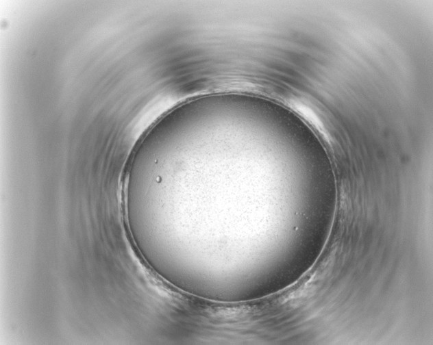 X0000088911047200706221924