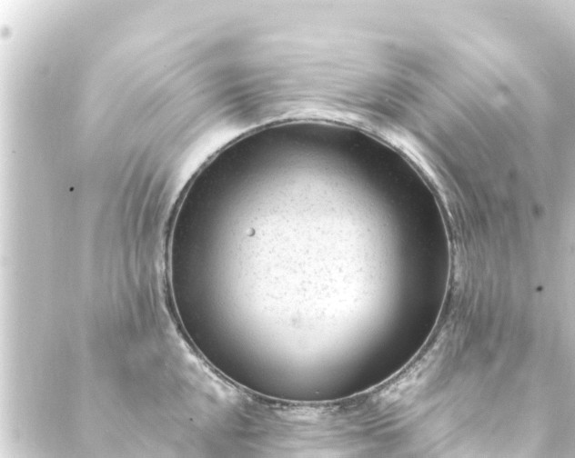 X0000088911048200706221924