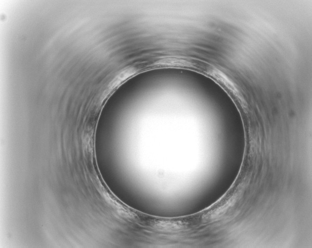 X0000088911049200706221924