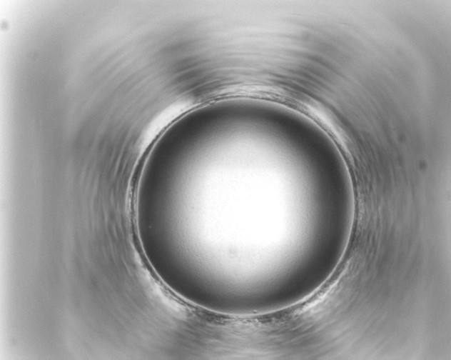 X0000088911050200706221925