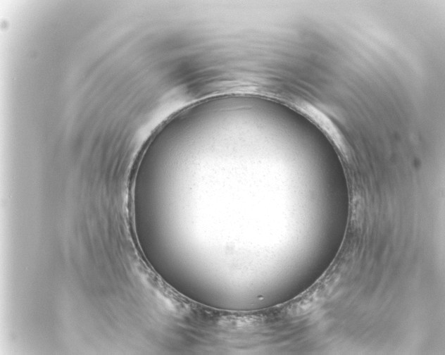 X0000088911051200706221925