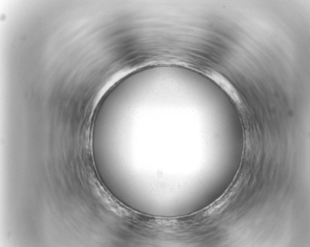 X0000088911052200706221925