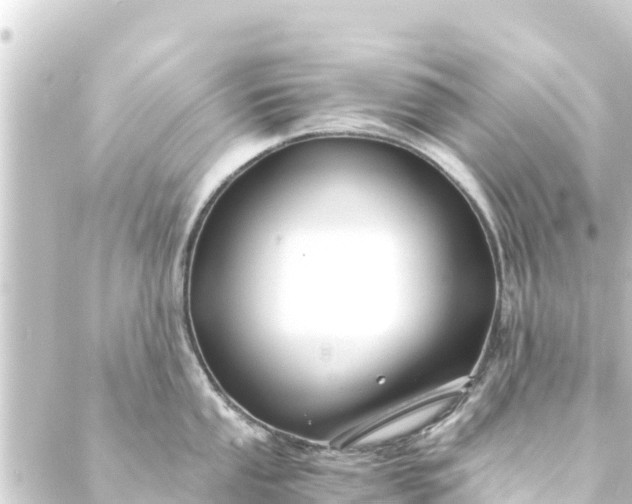 X0000088911053200706221925