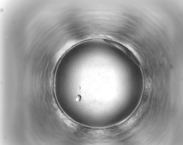 X0000088911054200706221925