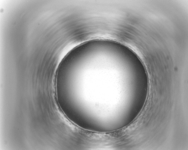 X0000088911056200706221925