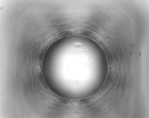 X0000088911058200706221924