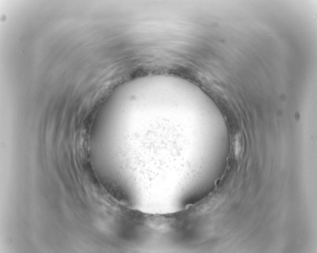 X0000088911059200706221924