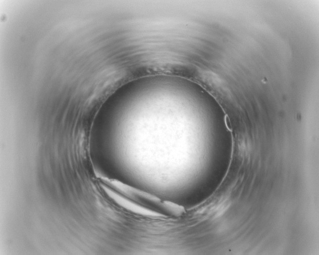 X0000088911060200706221924