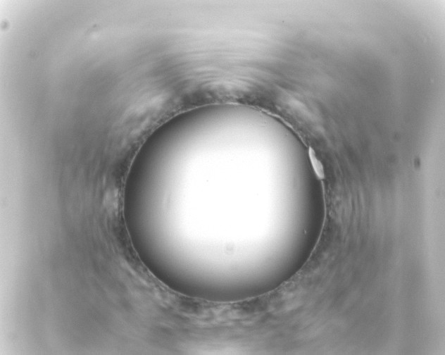 X0000088911061200706221924