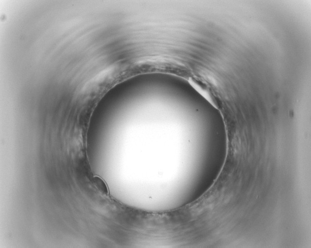 X0000088911062200706221924