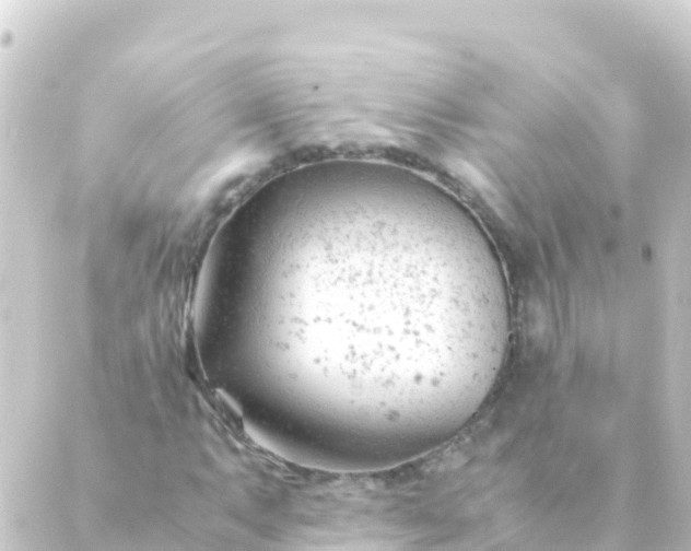 X0000088911063200706221924