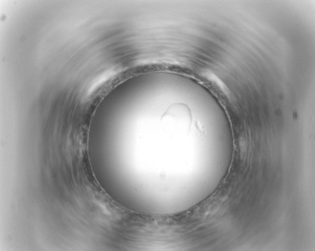 X0000088911064200706221924