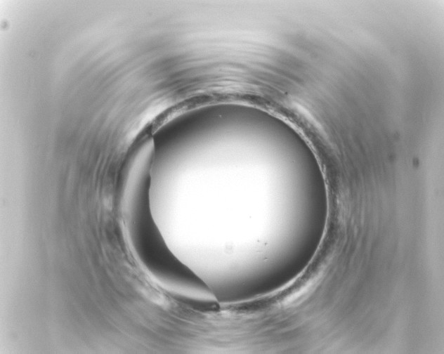 X0000088911065200706221924