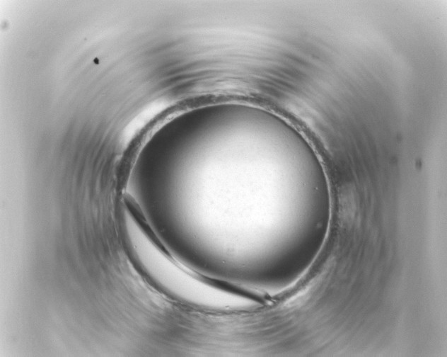 X0000088911066200706221924