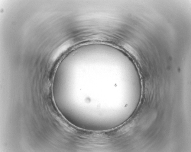 X0000088911067200706221924