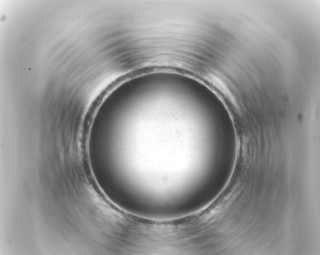 X0000088911068200706221924