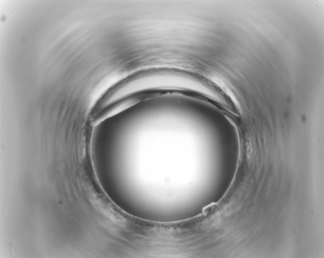 X0000088911069200706221924