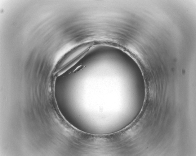 X0000088911070200706221924