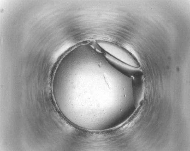 X0000088911071200706221924