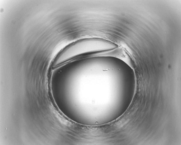 X0000088911072200706221924