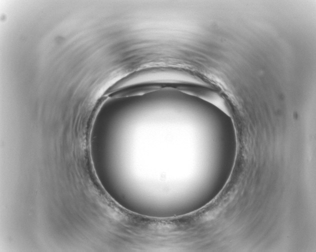 X0000088911073200706221924