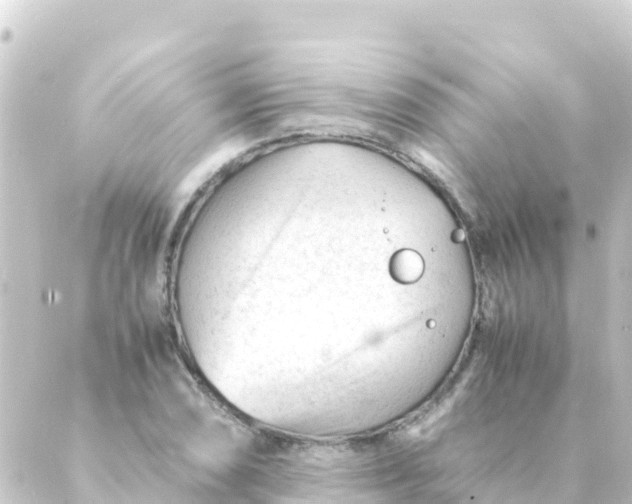 X0000088911074200706221924