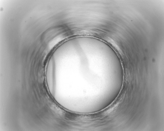 X0000088911075200706221924