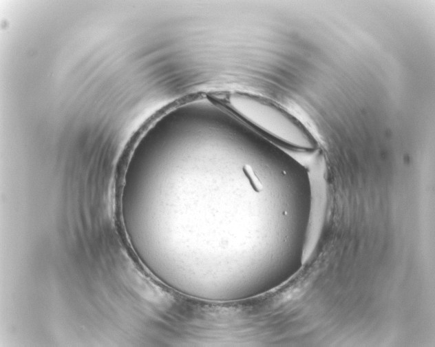 X0000088911076200706221924