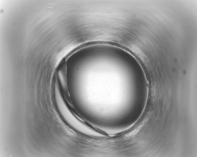 X0000088911077200706221924