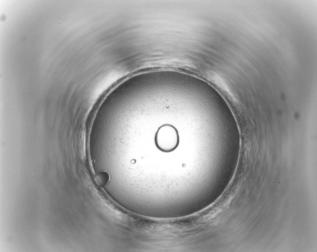 X0000088911079200706221923