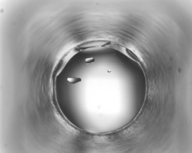 X0000088911080200706221923