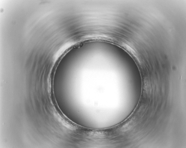 X0000088911082200706221923