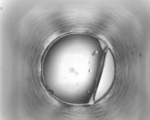 X0000088911083200706221923