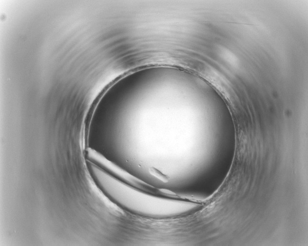 X0000088911084200706221923