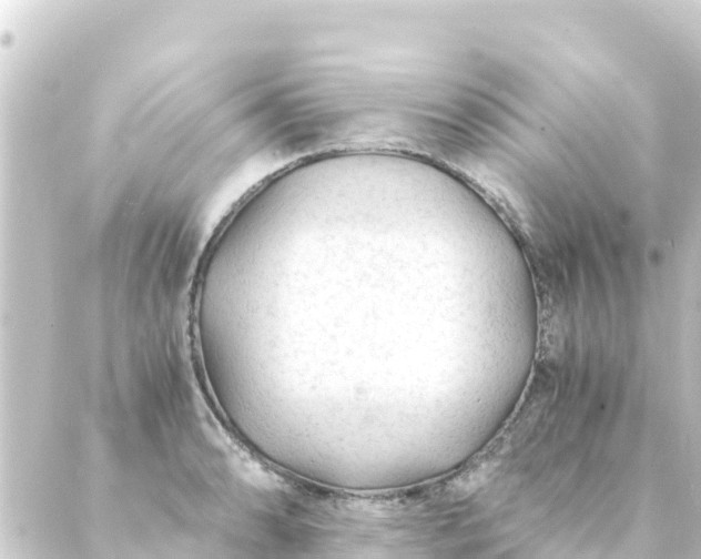 X0000088911086200706221923