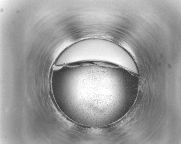 X0000088911087200706221923