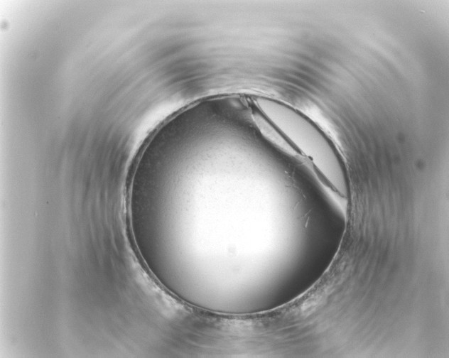 X0000088911088200706221923