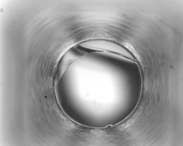 X0000088911089200706221923