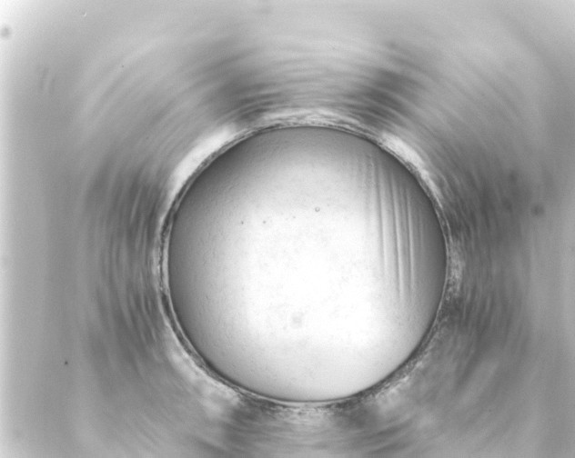 X0000088911090200706221923