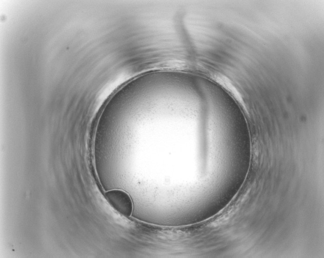 X0000088911091200706221923