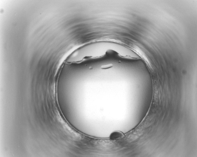 X0000088911092200706221923