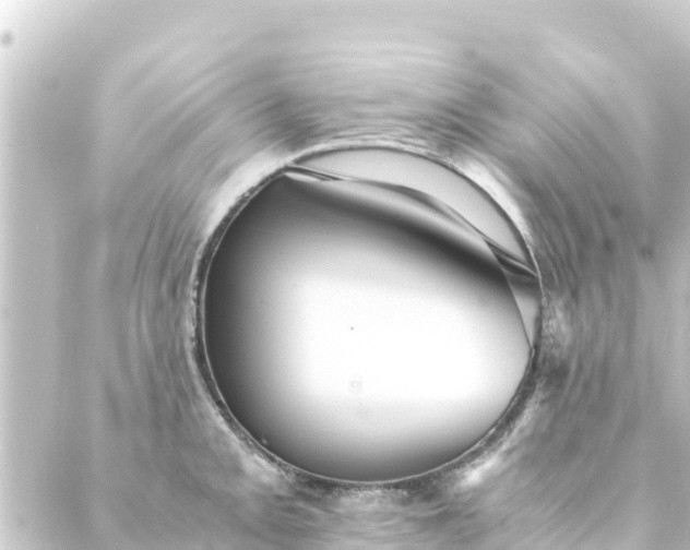 X0000088911093200706221923