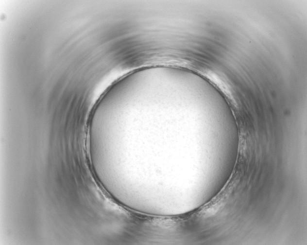 X0000088911094200706221923